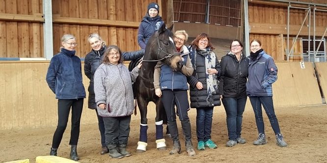 Equikinetic- und Dualaktivierungslehrgang 2018